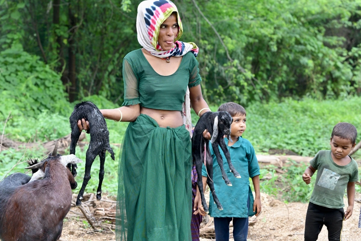Voyages sur mesure Inde