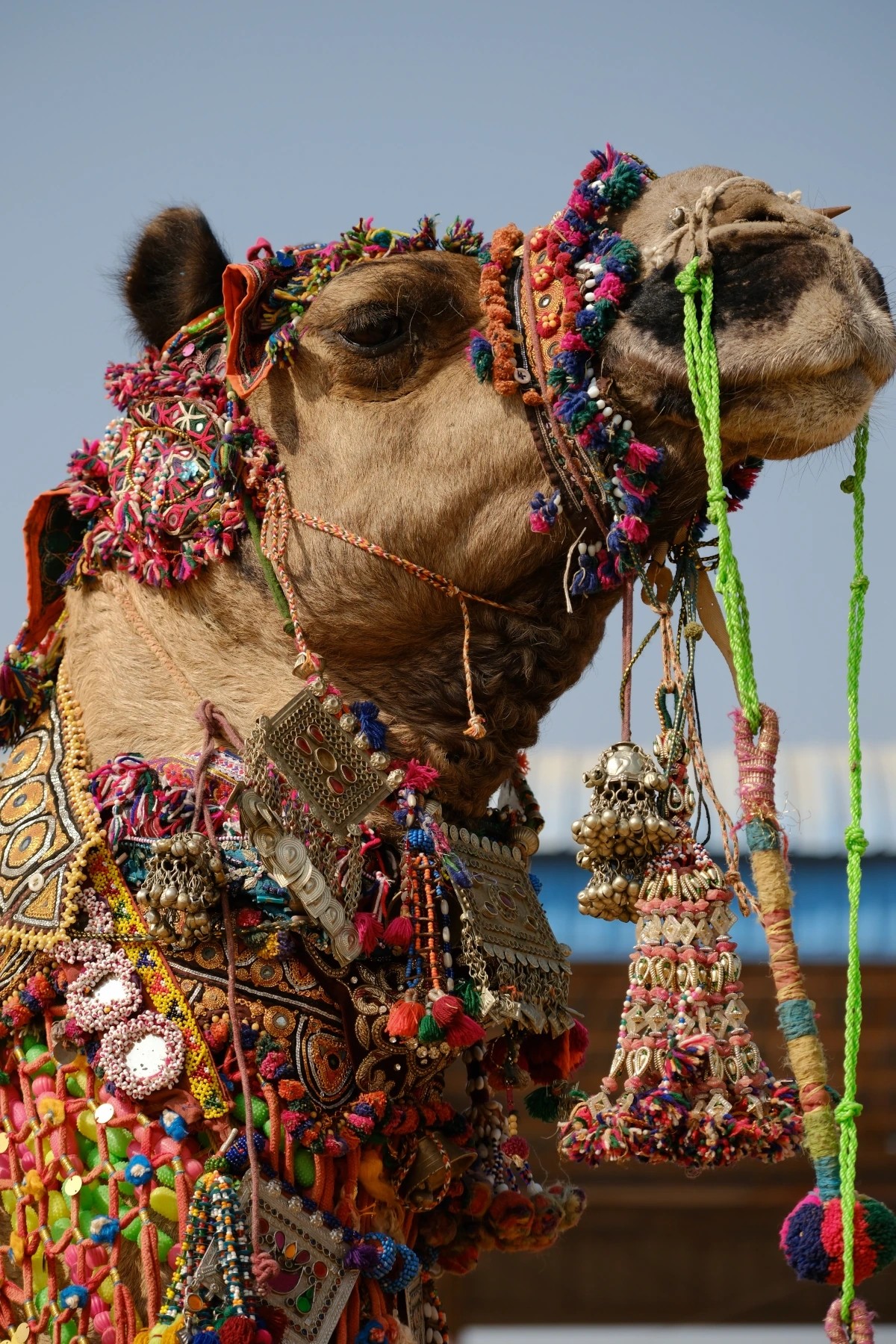 festivals authentiques d'Inde