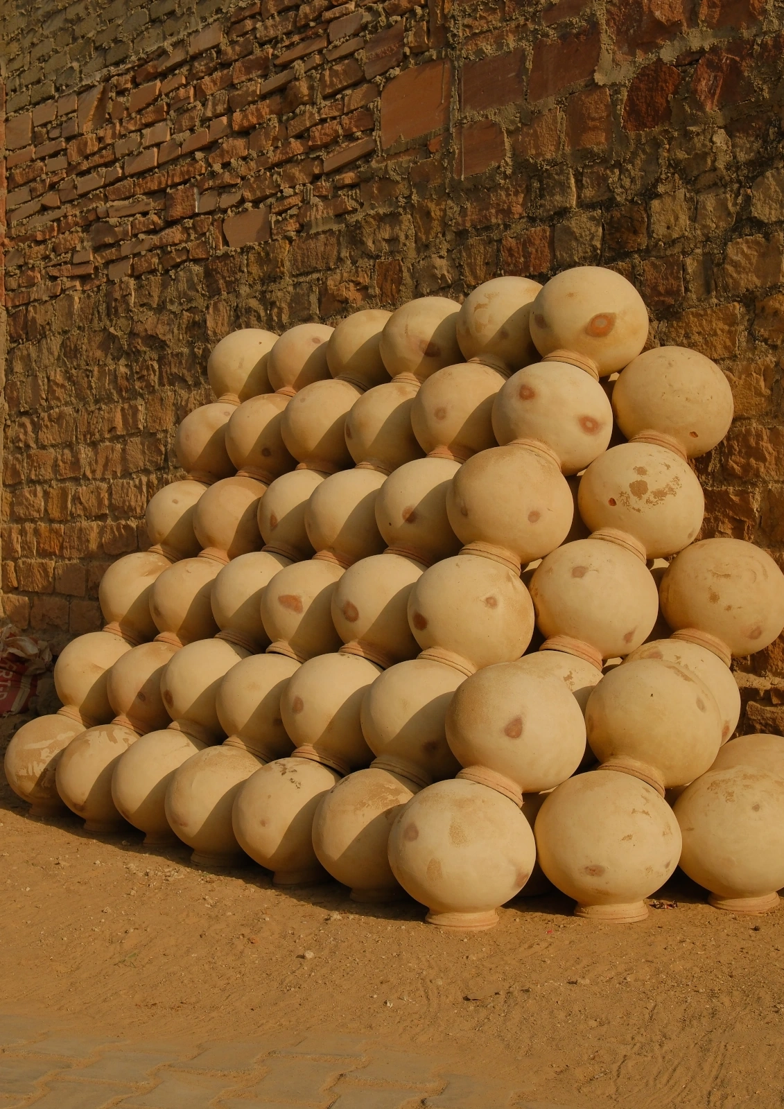 Aventure de 19 jours au Rajasthan