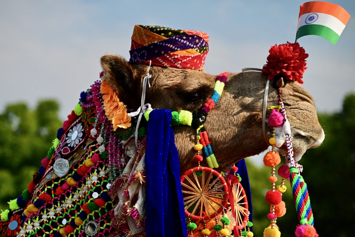 Voyage photo Rajasthan Pushkar