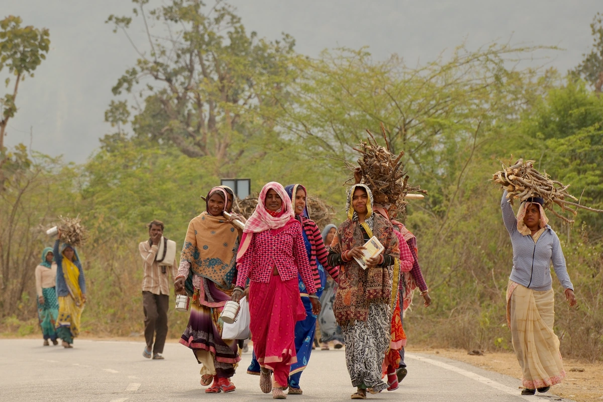 rajasthanies en saree transportant du bois le long d’une route pittoresque, symbole d’un Rajasthan authentique