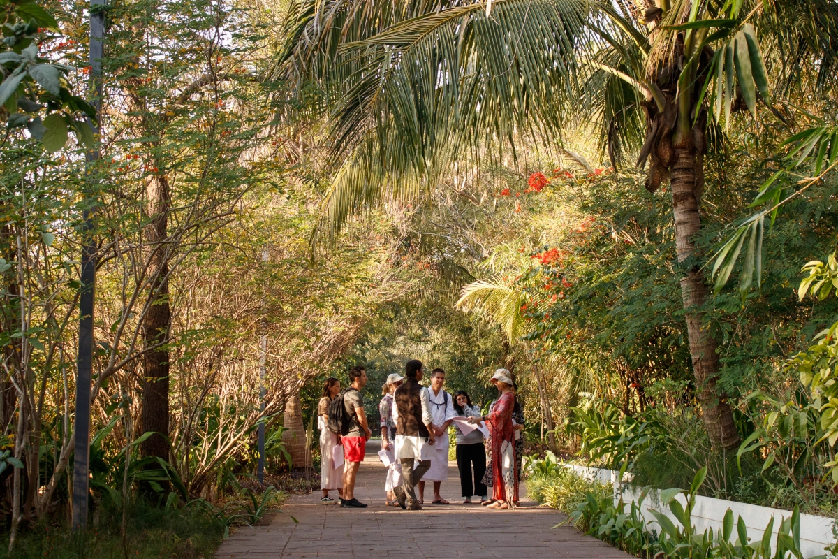 Restore balance and destress with daily yoga, Ayurveda and silence in a thoughtfully curated luxury retreat.