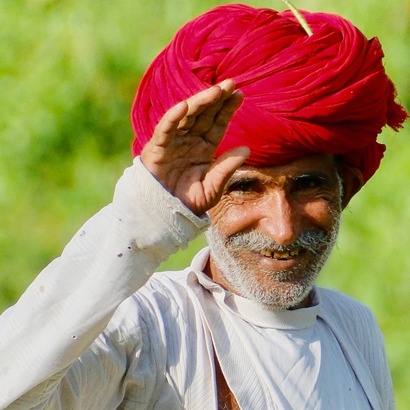 Membres de la tribu Rabari travaillant dans les champs, région de Pali, Rajasthan, Inde.