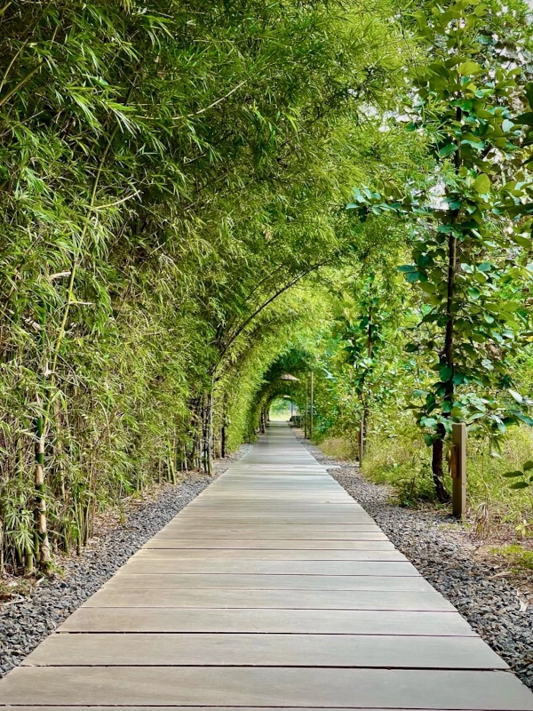 Safari Madhya Pradesh – Wildlife, Culture 