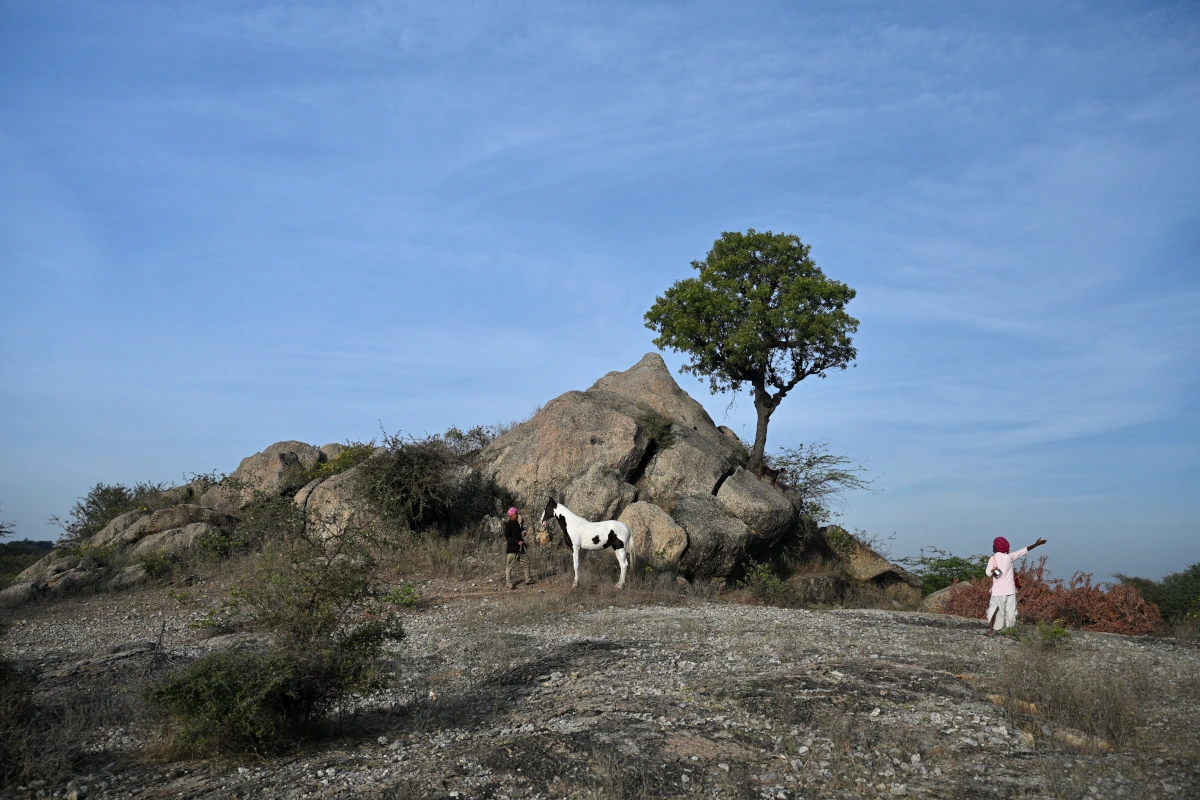 Rajasthan Horseback Riding Holi Tour