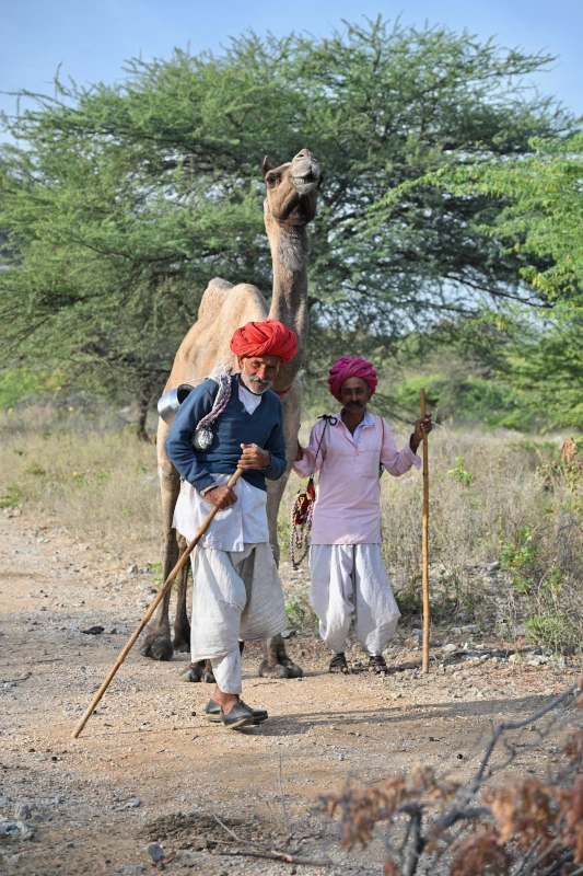 Rajasthan Horseback Riding Holi Tour