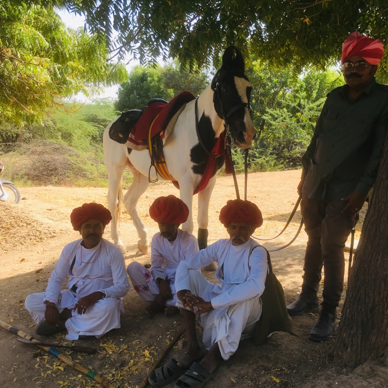 Rajasthan Horseback Riding Holi Tour
