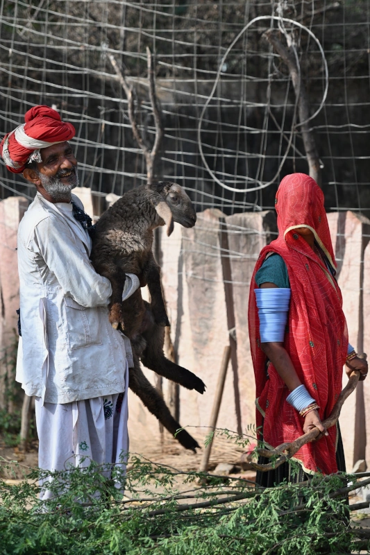 Rajasthan Horseback Riding Holi Tour