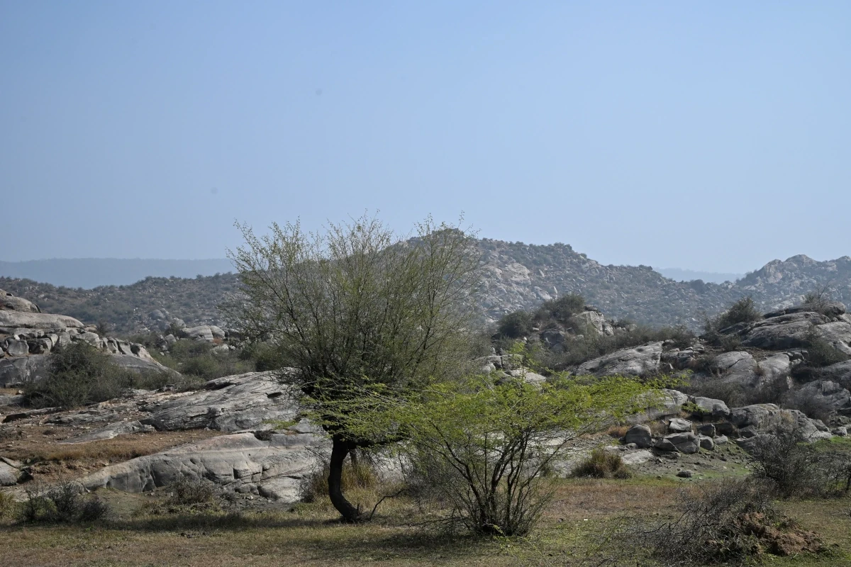 India Photography Tour