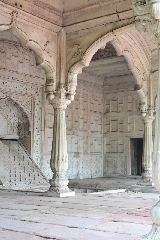 India Tiger Safari and Culture Tour