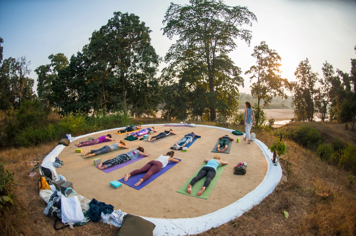 India Tiger Safari and Culture Tour