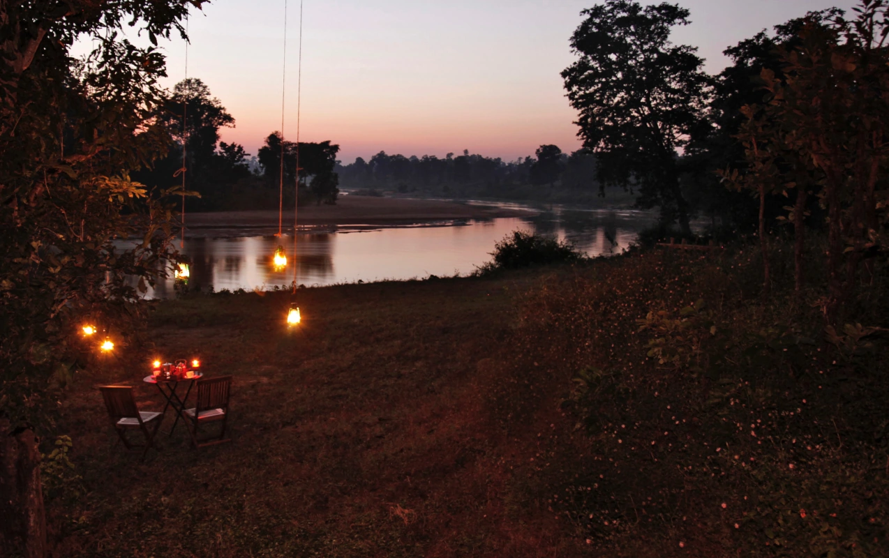 India Tiger Safari and Culture Tour