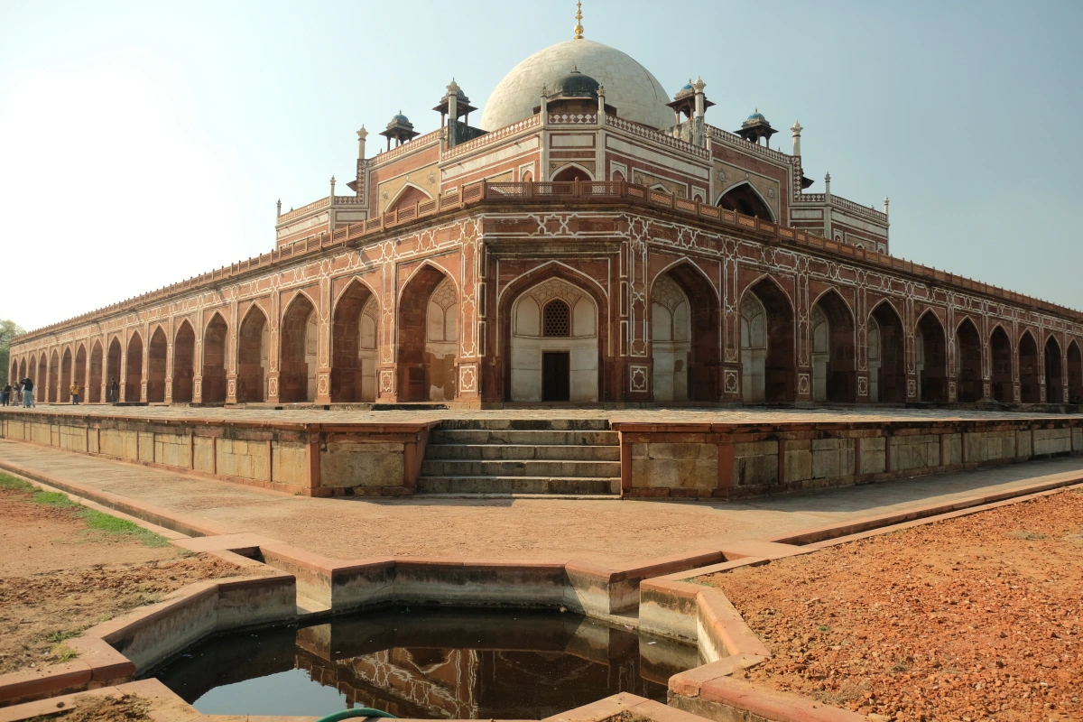 India Tiger Safari and Culture Tour