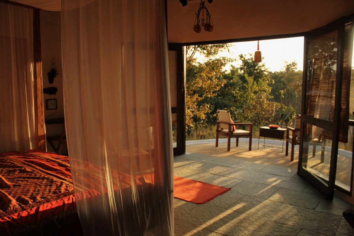 India Tiger Safari and Culture Tour